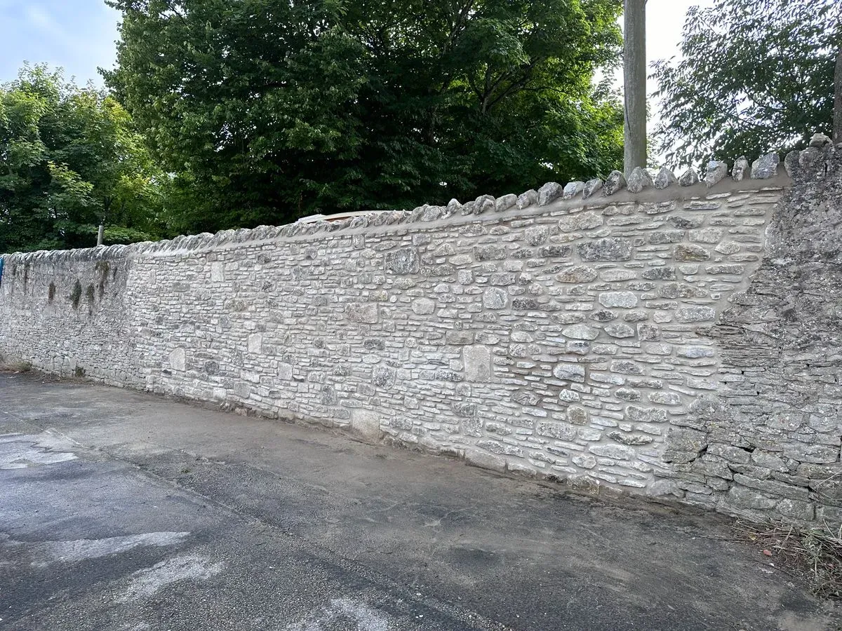 Gallery image 5