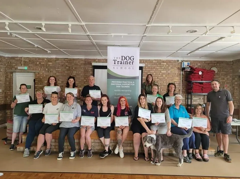 Descriptive text for the image