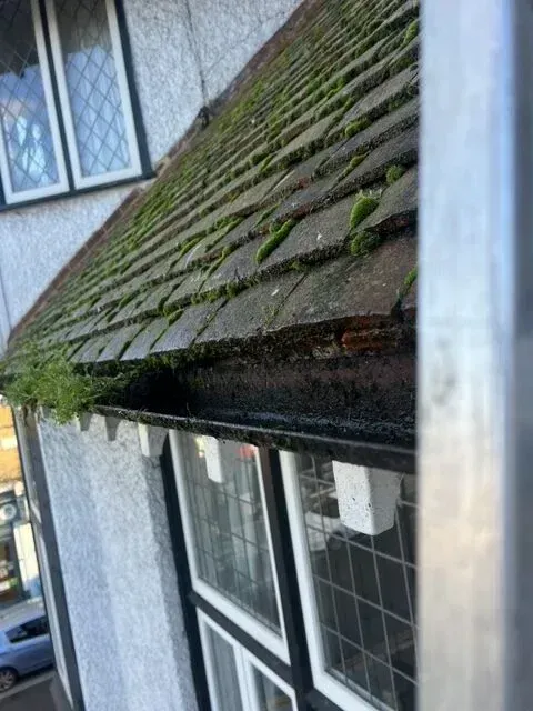 Gutter cleaning West Ealing image background image