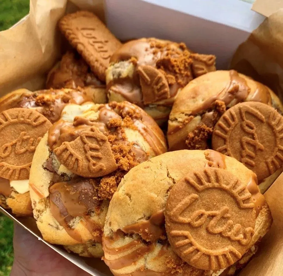 Descriptive text for the image