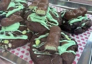 Descriptive text for the image