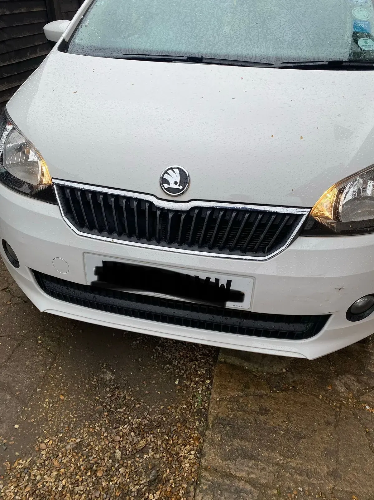 Descriptive text for the image