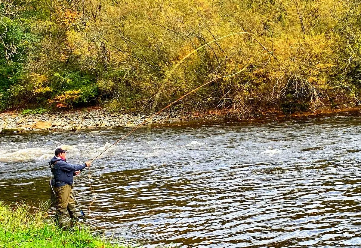 Fly fishing lessons image
