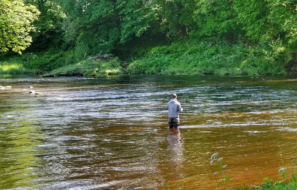 Half-day guided fishing trips image