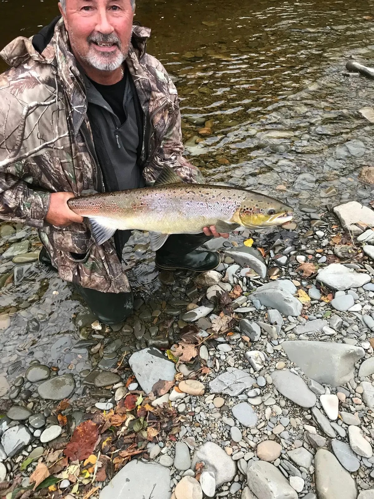 Family fishing excursions image