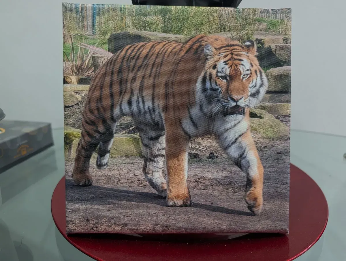 undefined thumbnail image