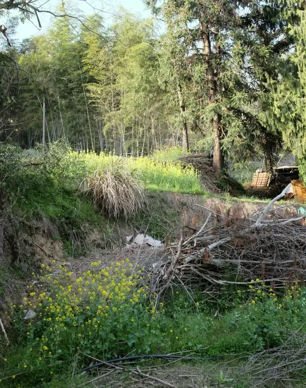 Crown reduction image background image