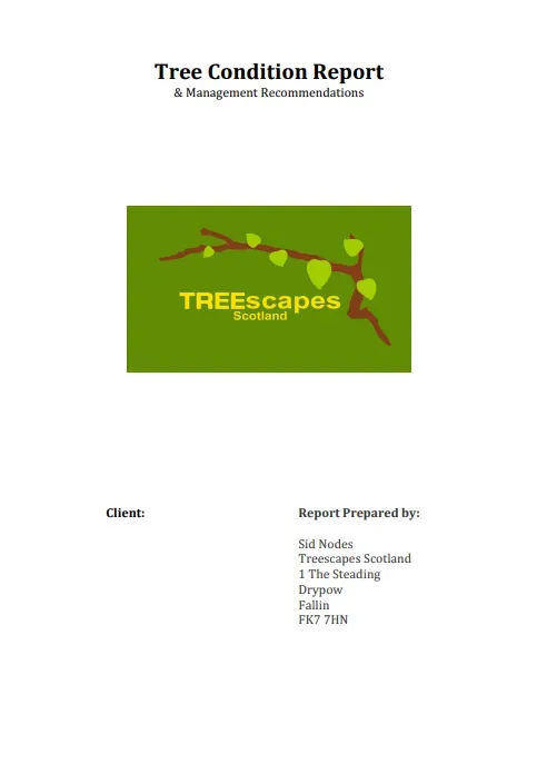 Crown reduction image background image