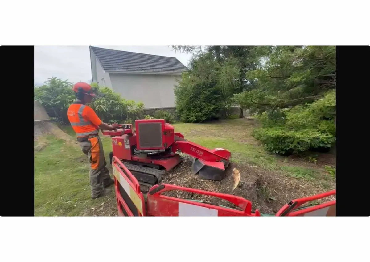 Crown reduction image background image