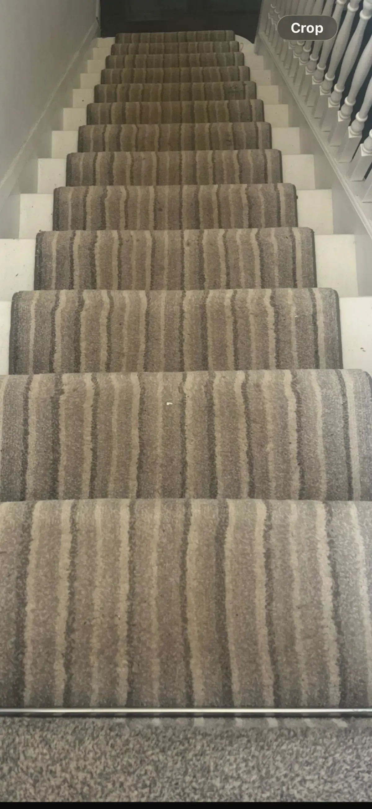 Descriptive text for the image