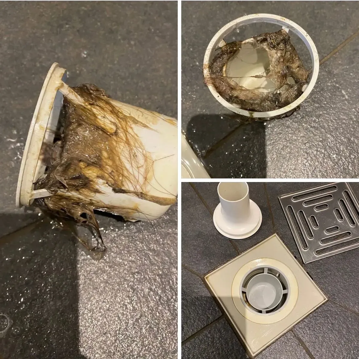 Descriptive text for the image