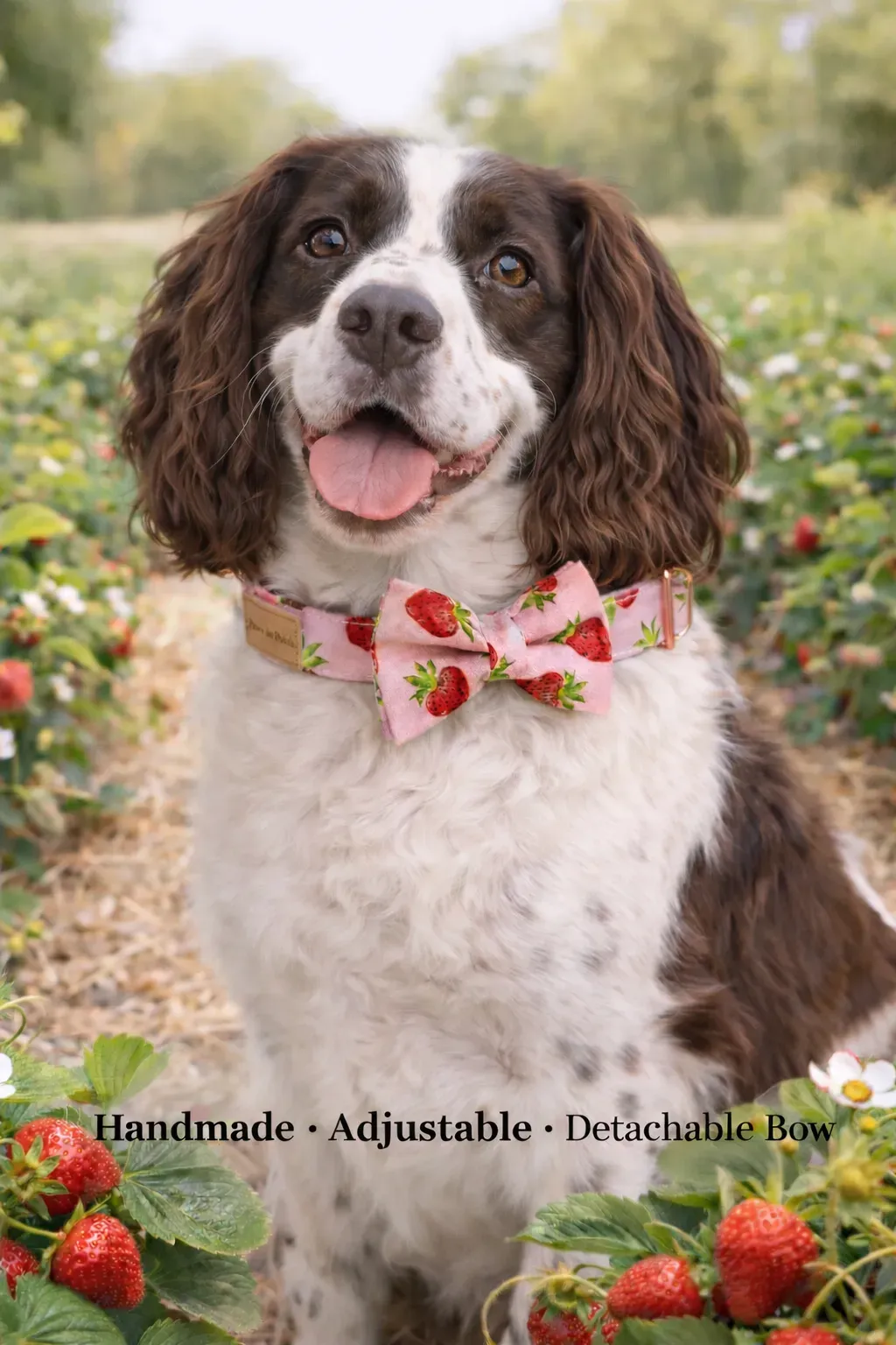 undefined thumbnail image