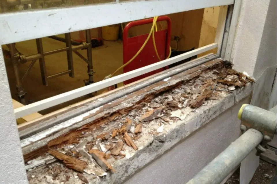 Rotten Wood Replacement image background image