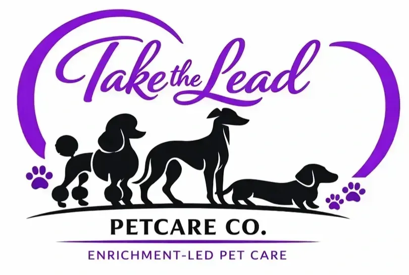 Take the lead  logo