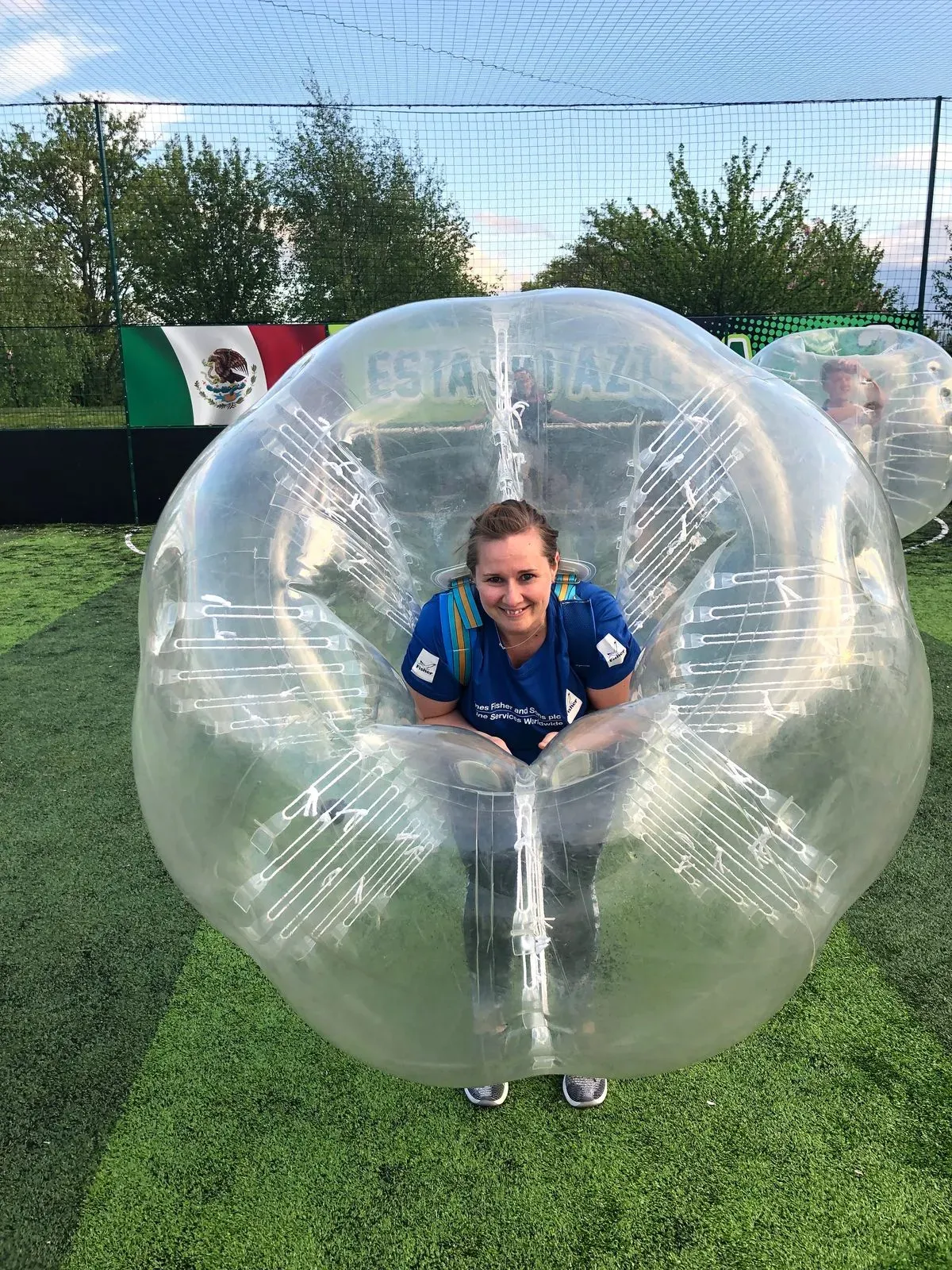 Descriptive text for the image