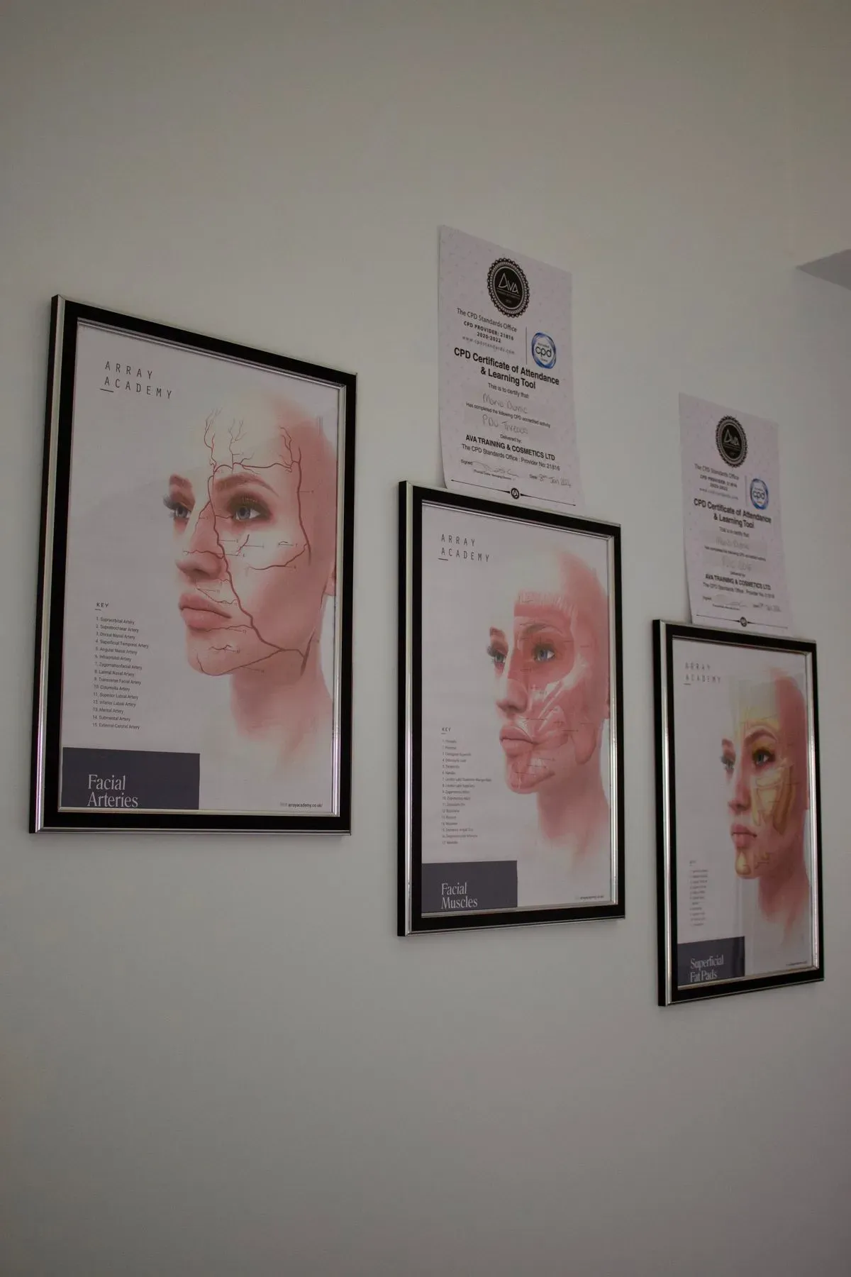 Gallery image 9