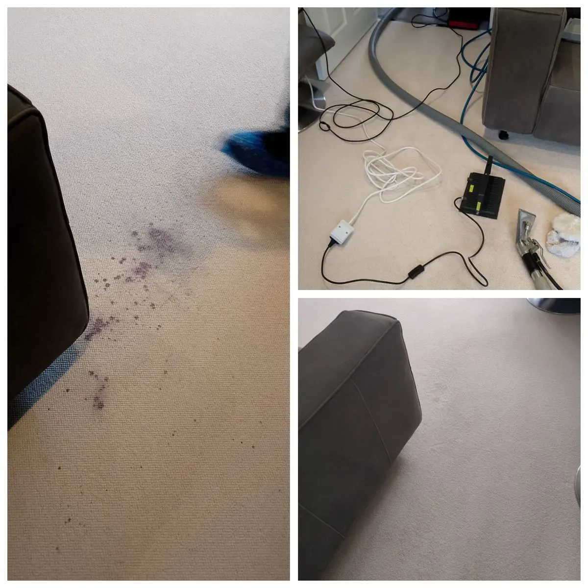 Gallery image 6