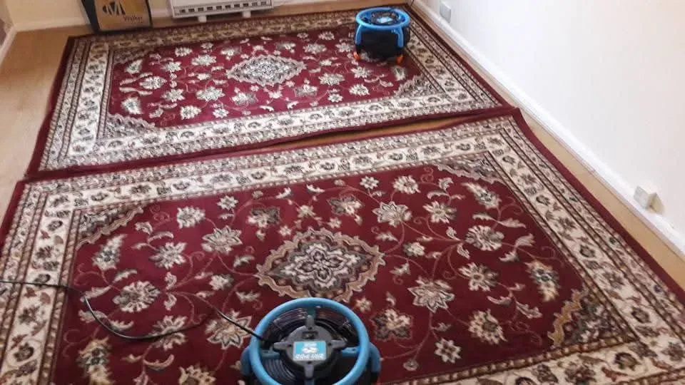 Rug cleaning image background image