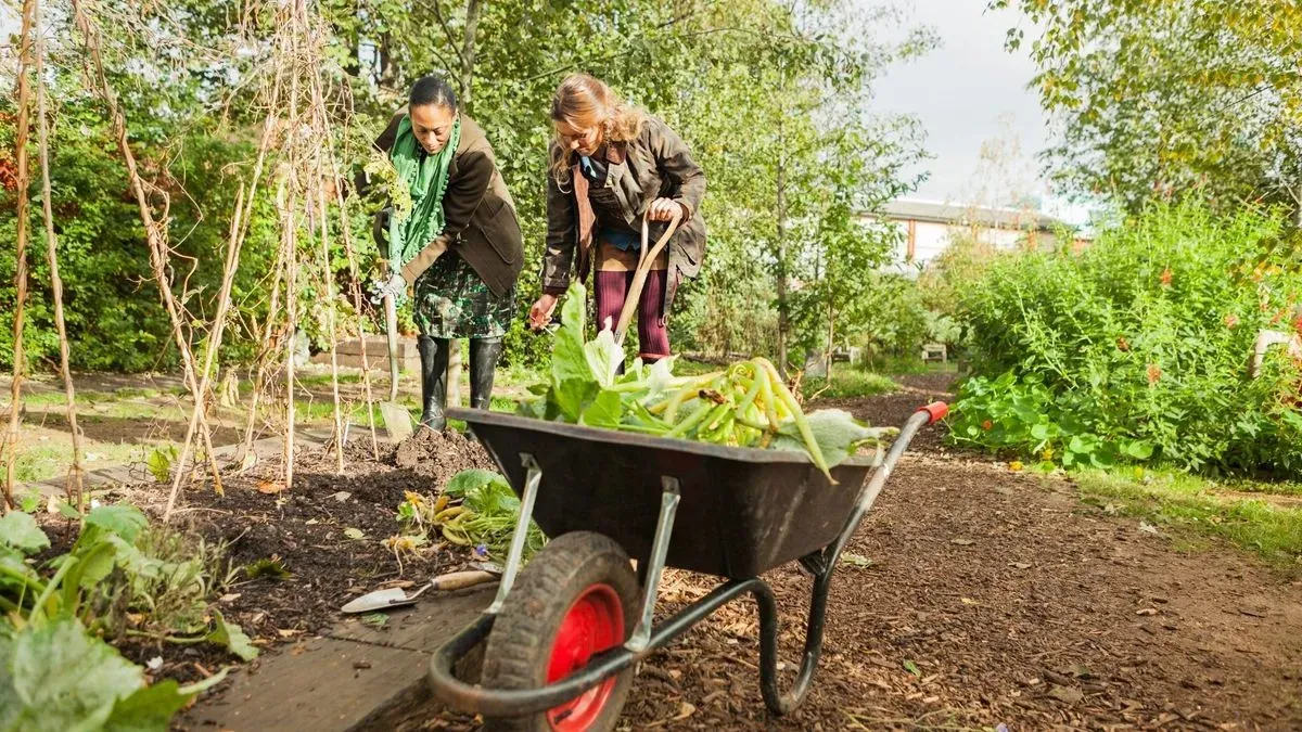Garden Clearances in Crewe