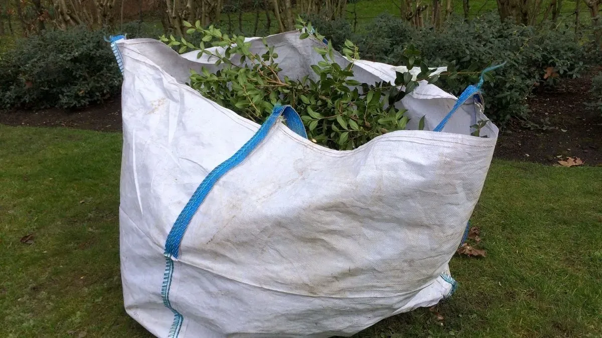 Descriptive text for the image