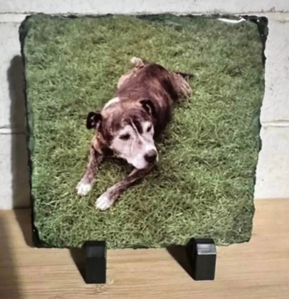 undefined thumbnail image
