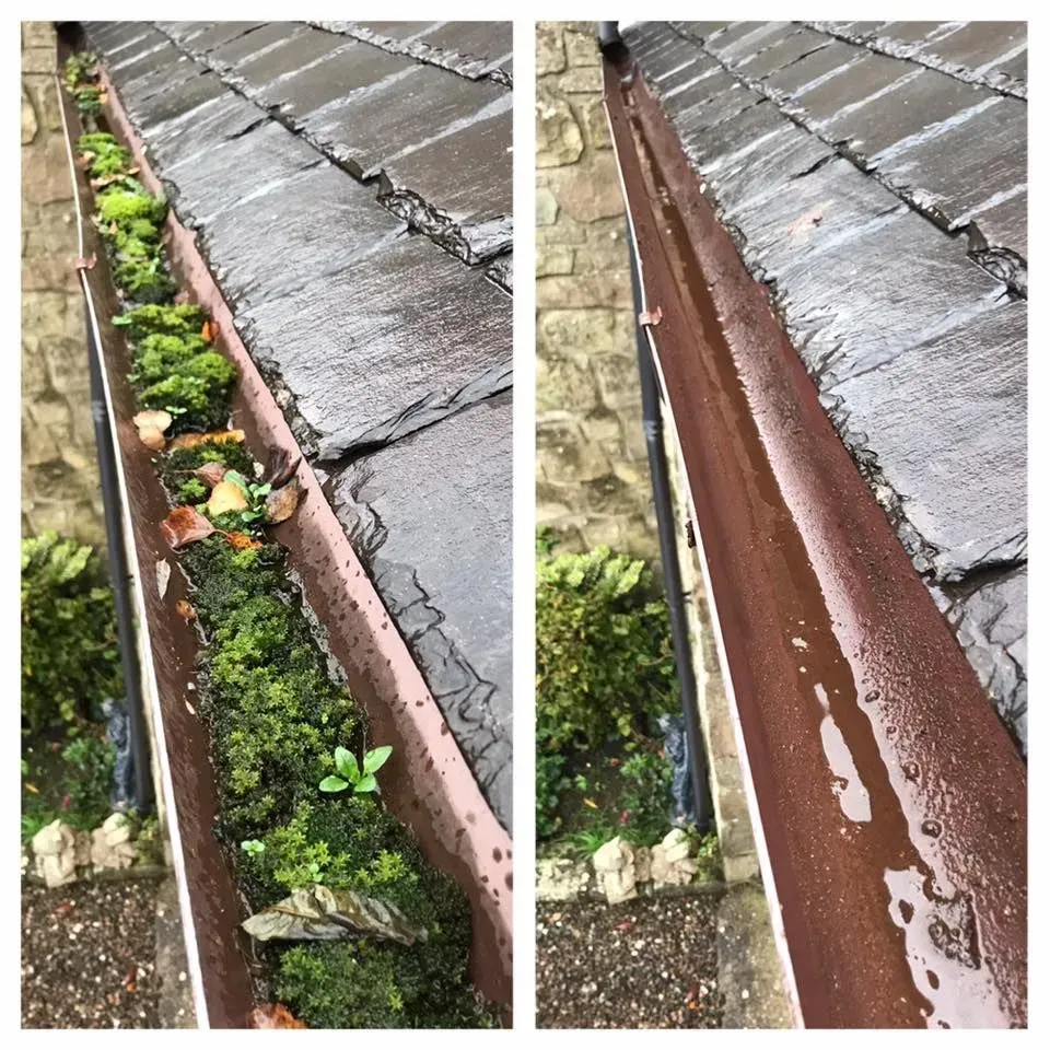 Gutter Cleaning