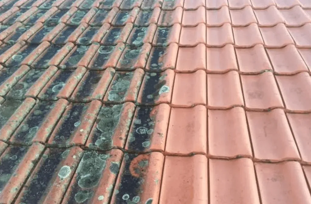 Roof Cleaning