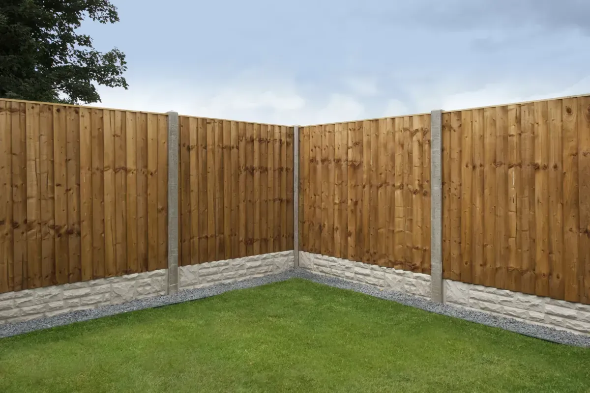 Paths image background image