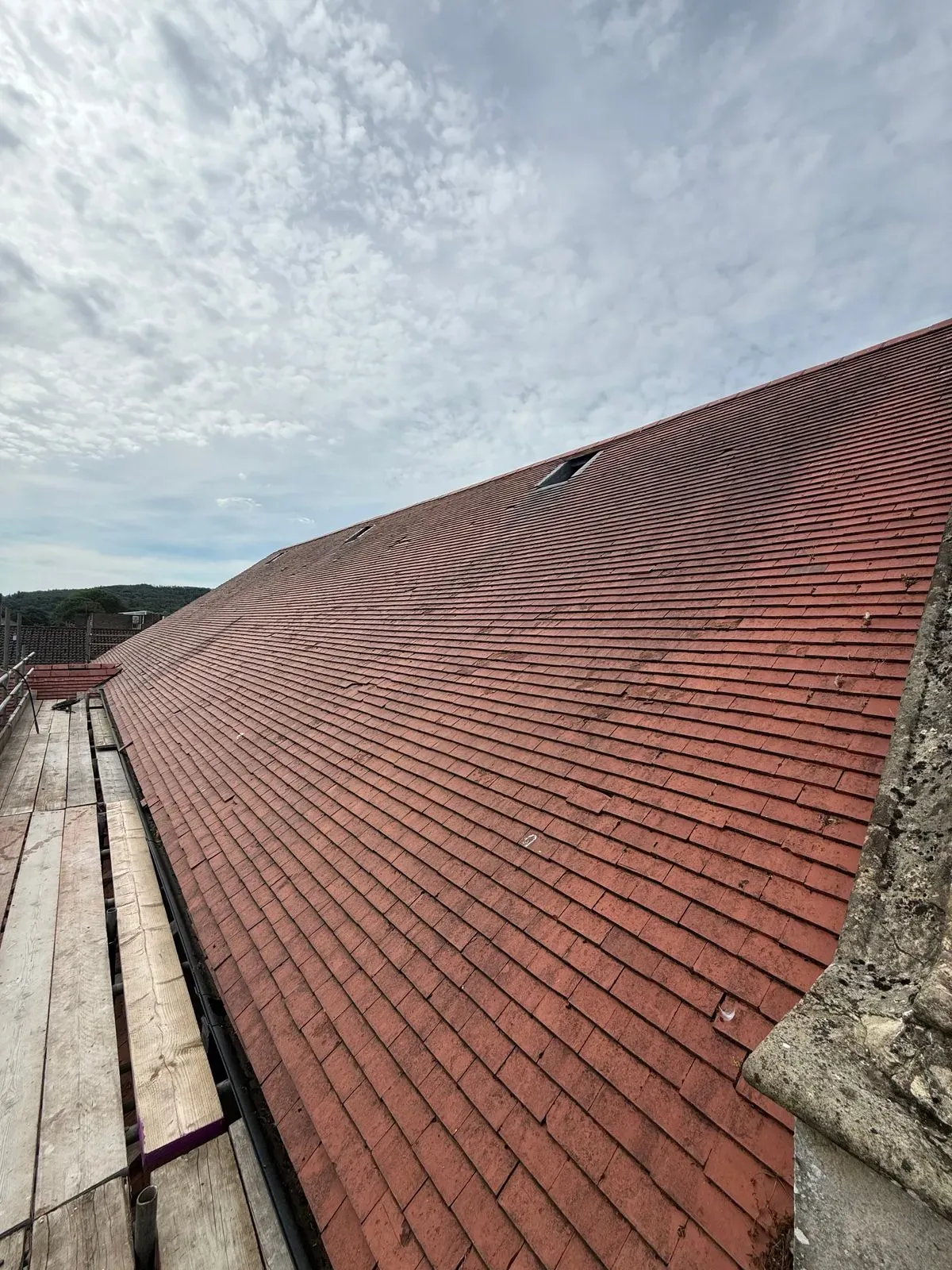 Roof Cleaning
