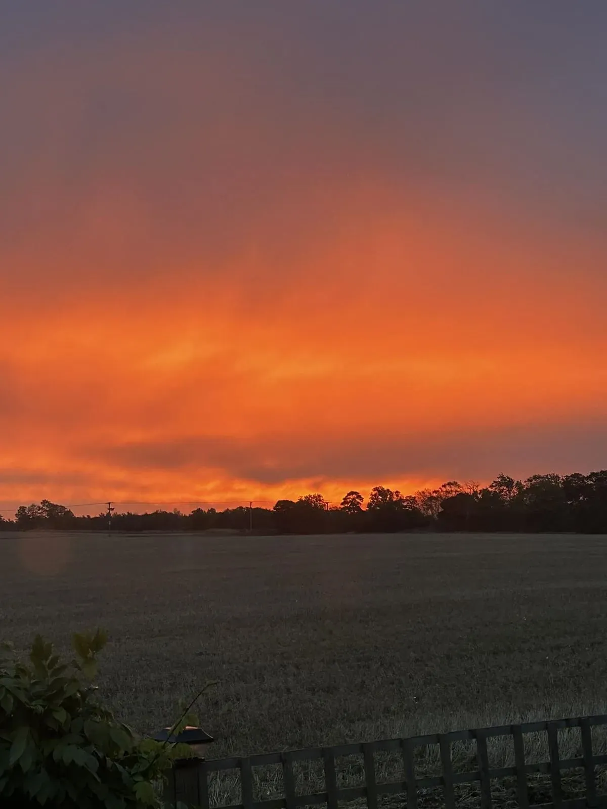 Descriptive text for the image