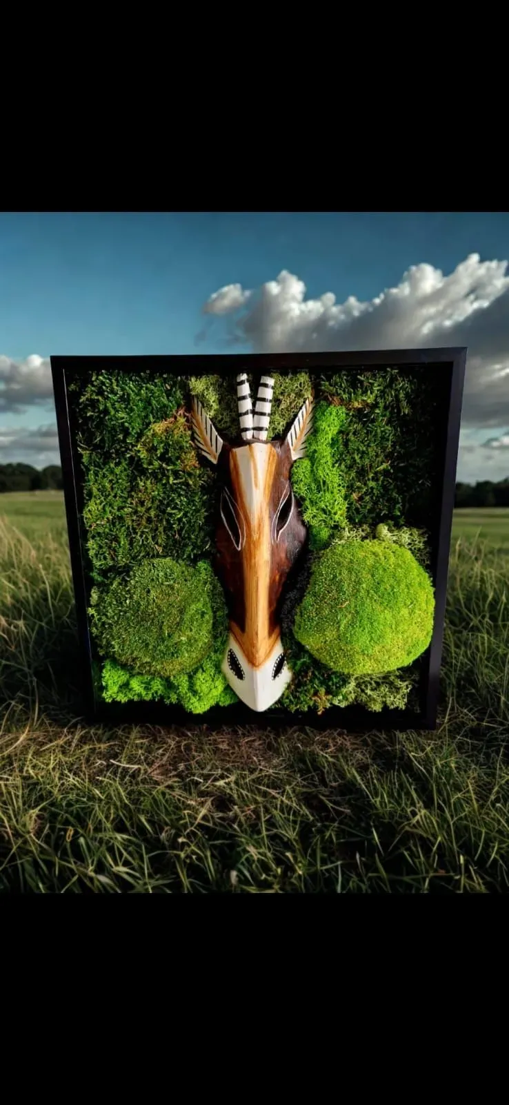 8228734466377-l8czerlcg9cyhhs3n7ibq-IMG-20260215-WA0032 thumbnail image