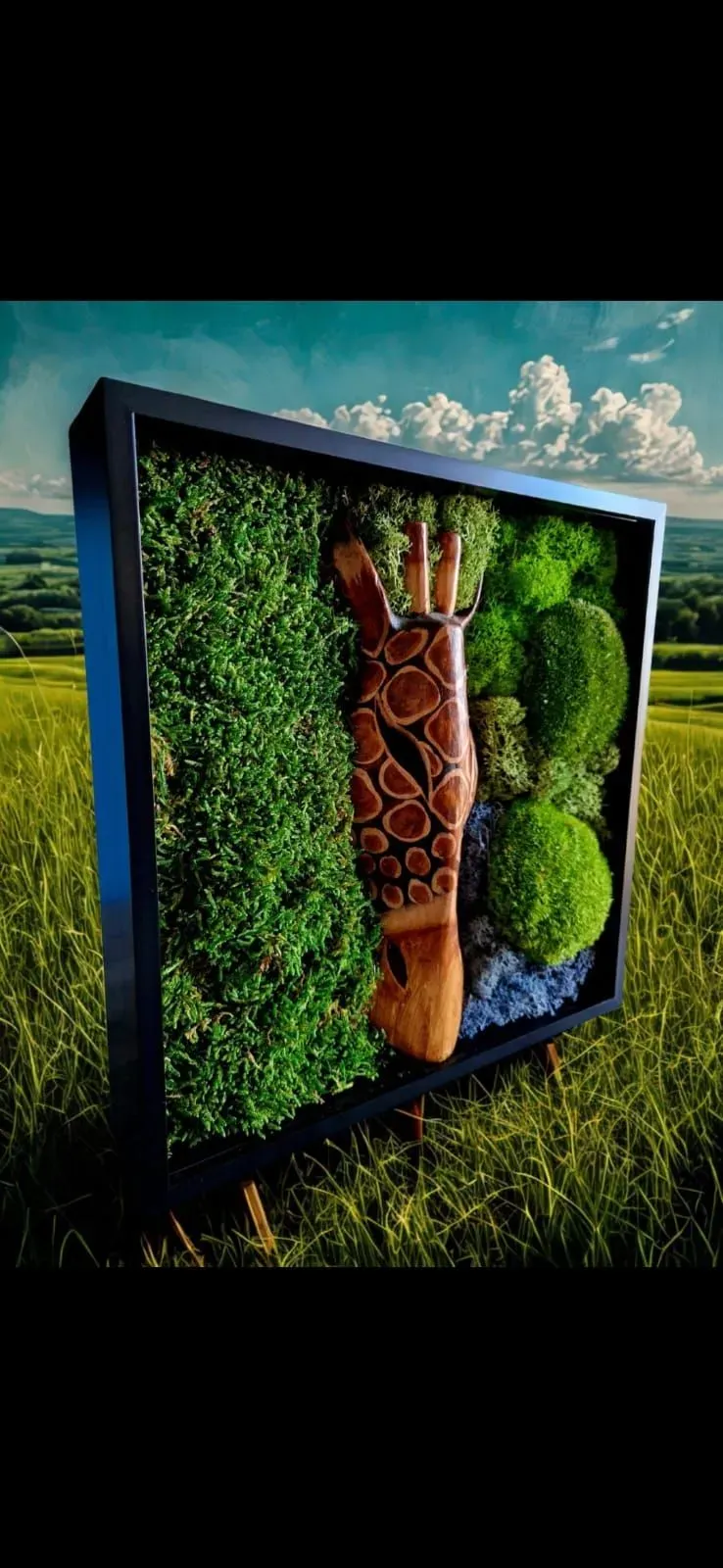 8228831354464-mt3uh0owzkdvspvtvfmfui-IMG-20260215-WA0035 thumbnail image