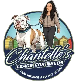 Chantelle’s Leads For Needs 