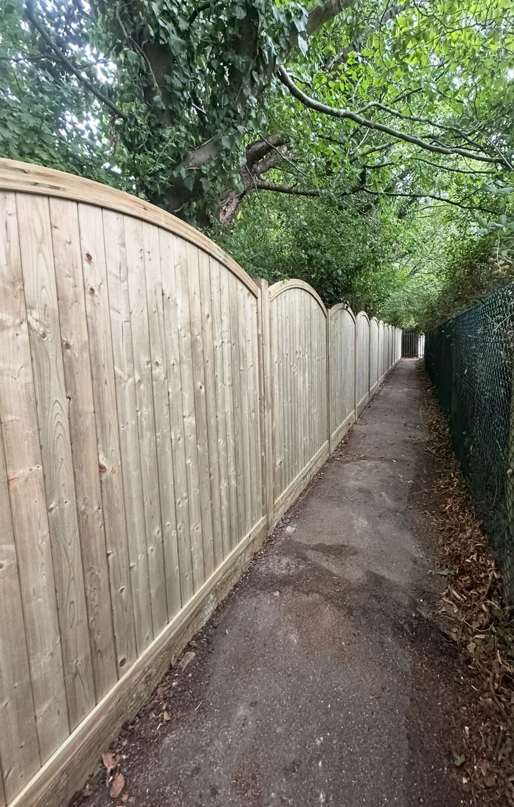 Fencing  image