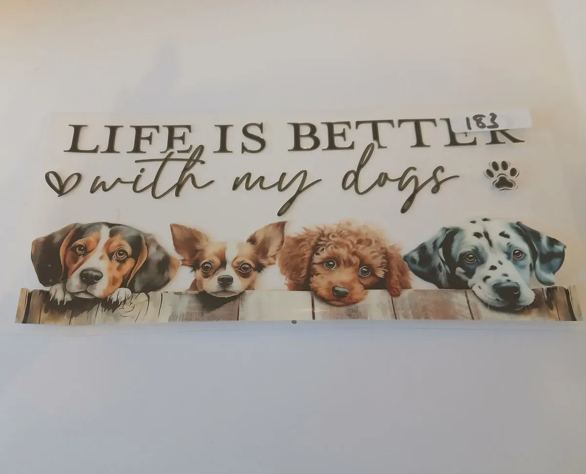 undefined thumbnail image