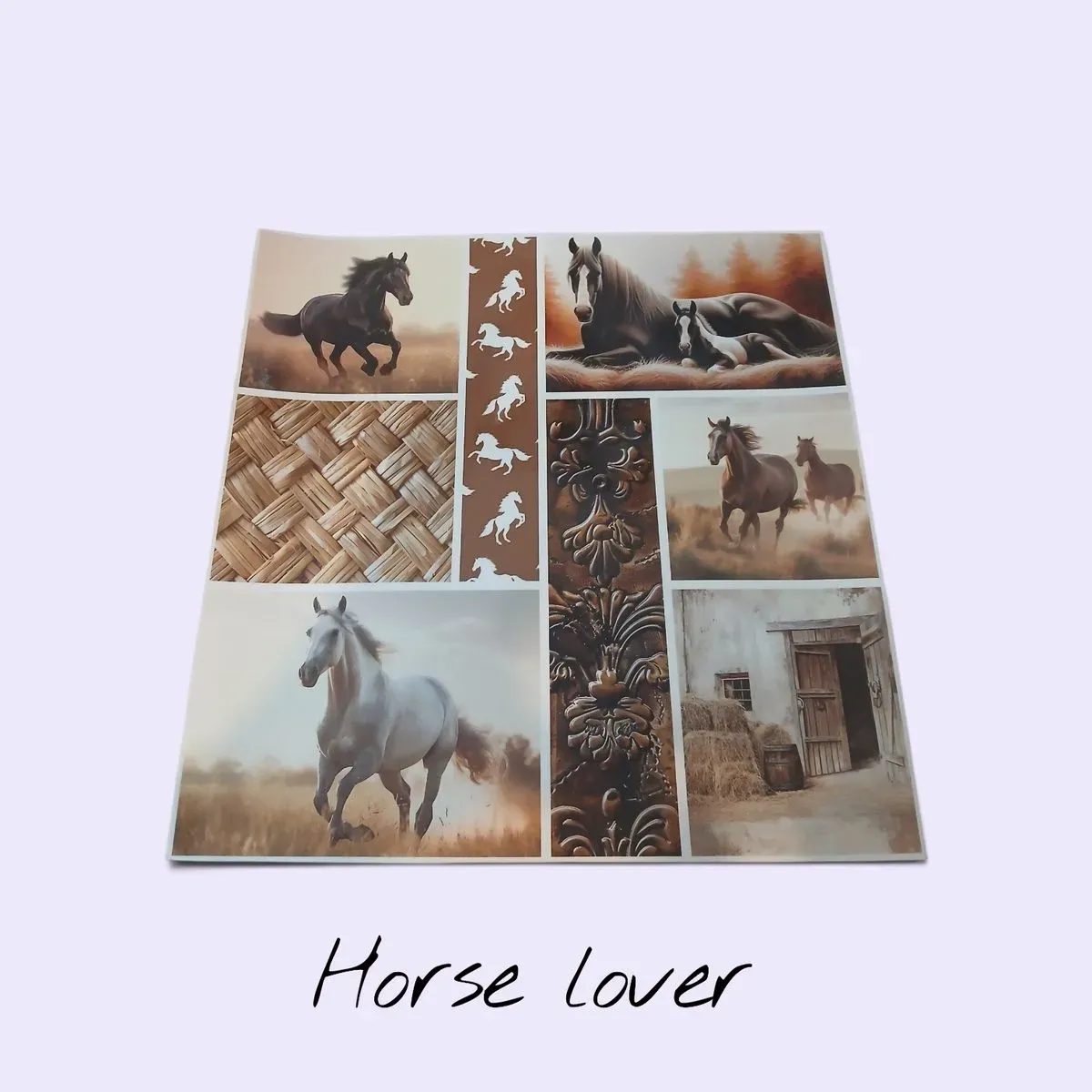 8212922548855-lnjkh4ft6l1x51n1kdnq-20260818-124116 thumbnail image