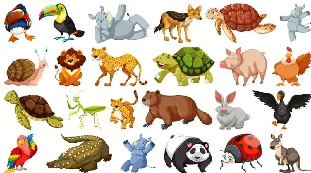 Screenshot-20260114-181102-Google thumbnail image