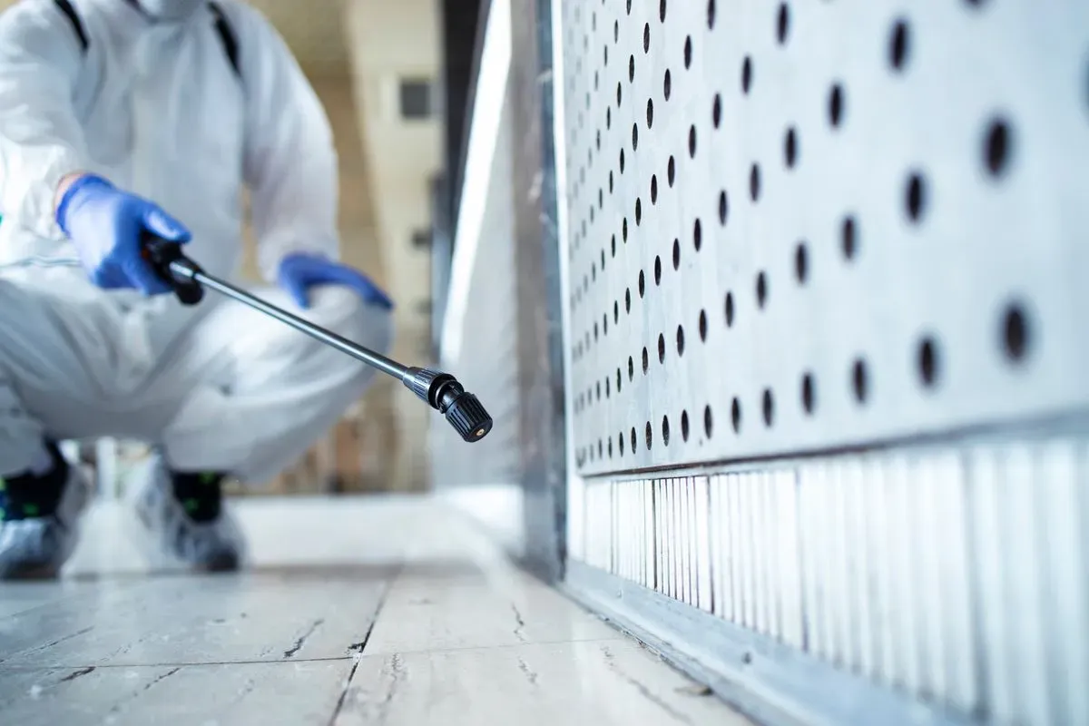 Hero image 1