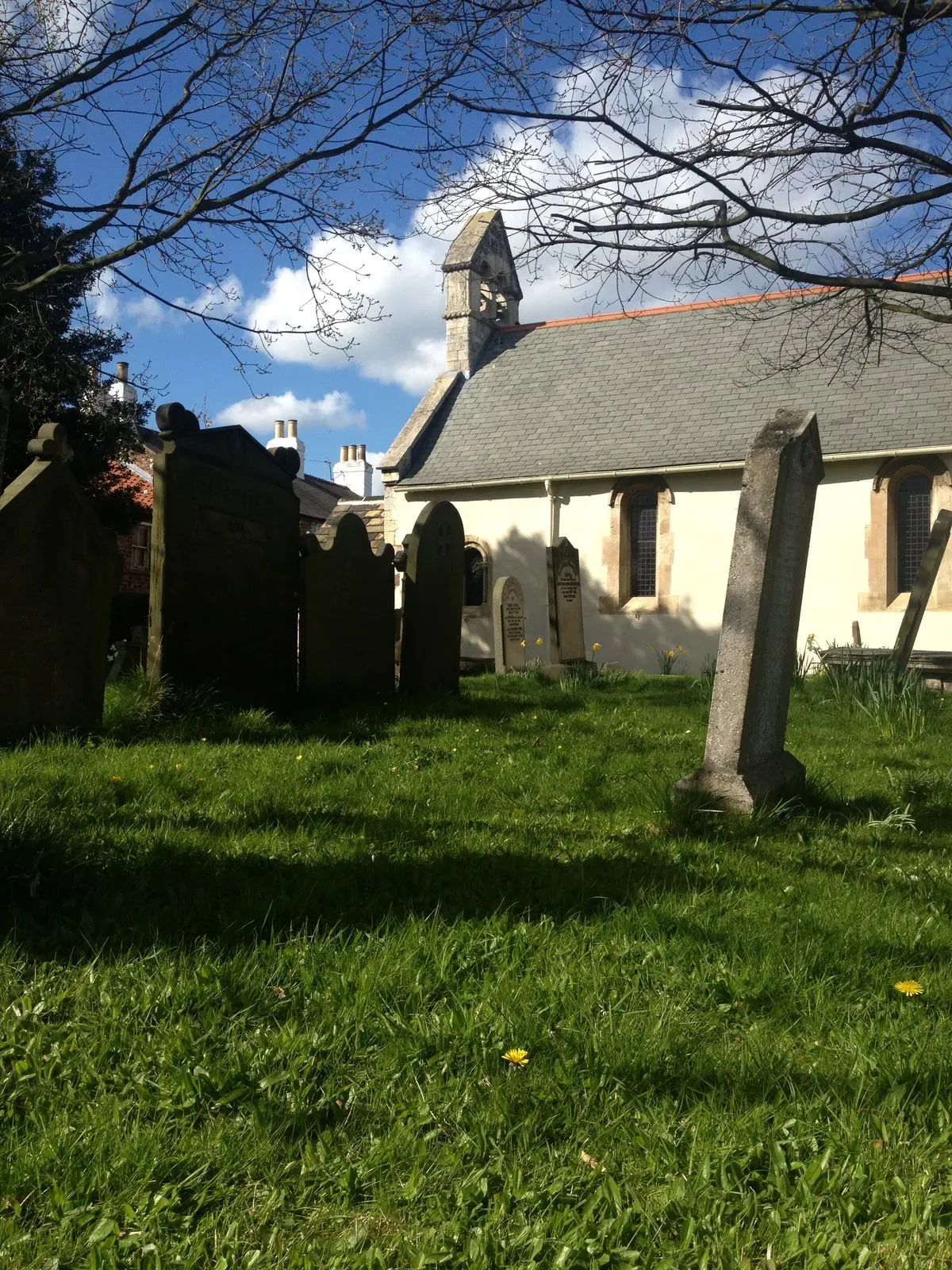 Gallery image 6