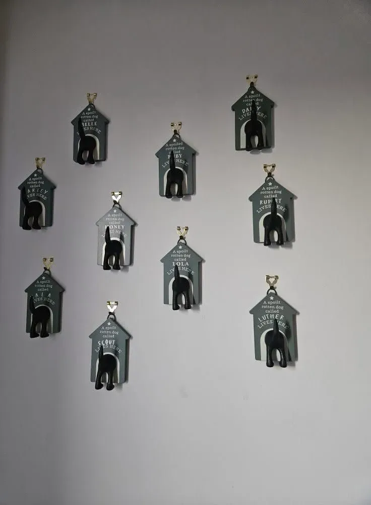 Gallery image 8