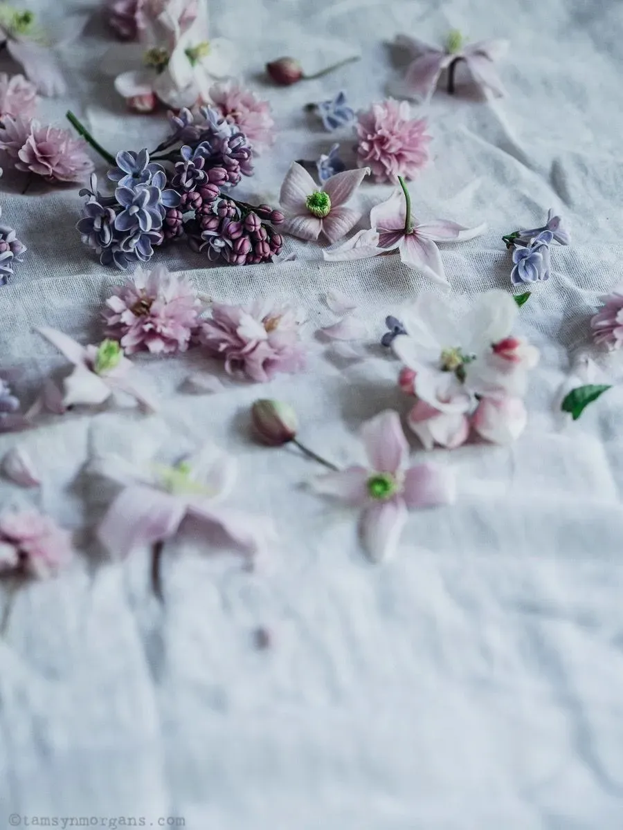 Hayfever Injections (kenalog) background image