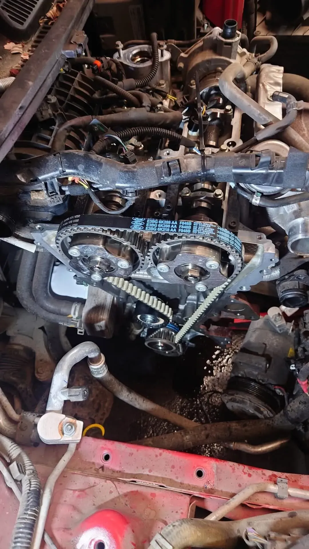 Descriptive text for the image