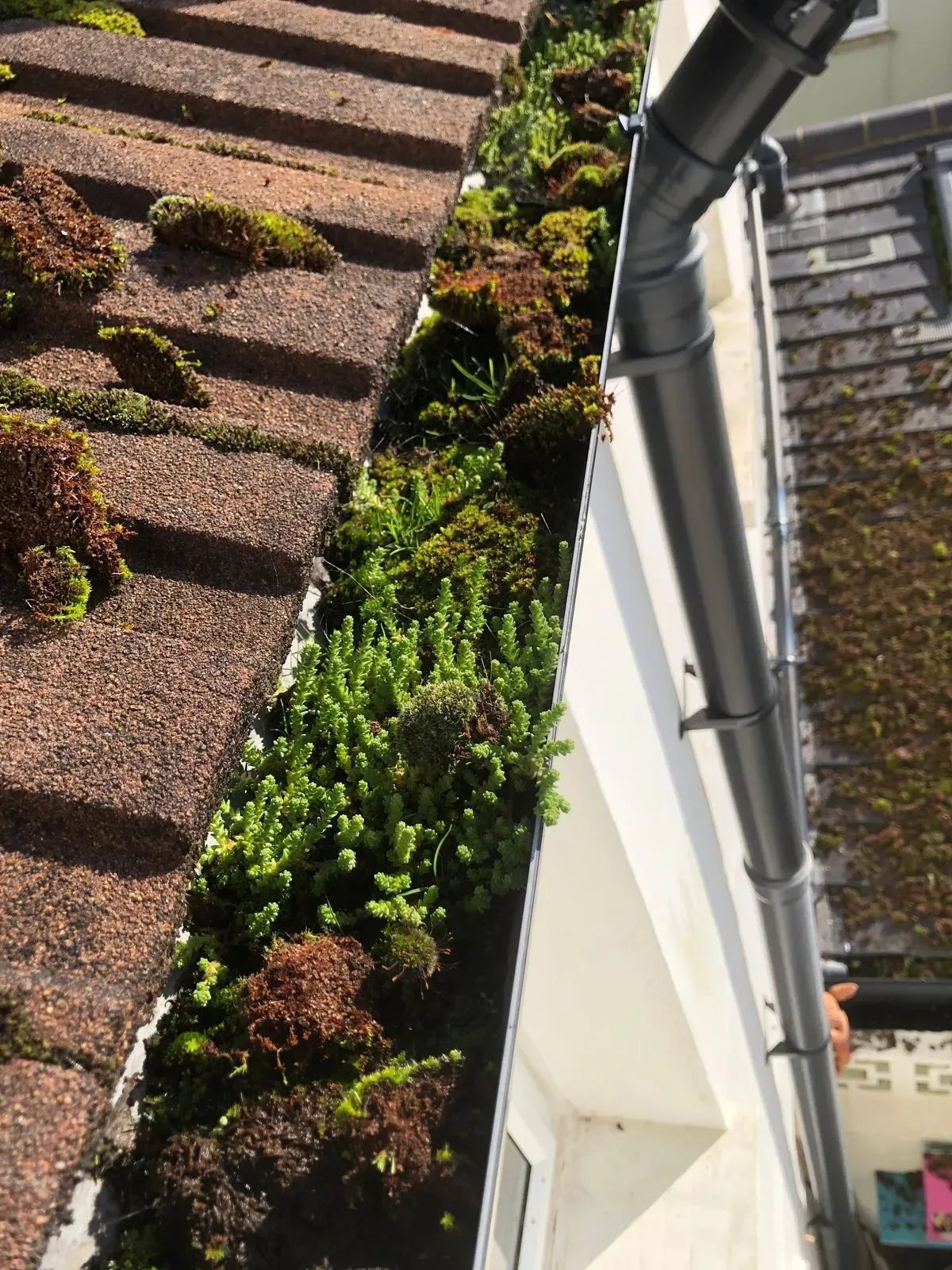 Gutter repairs image