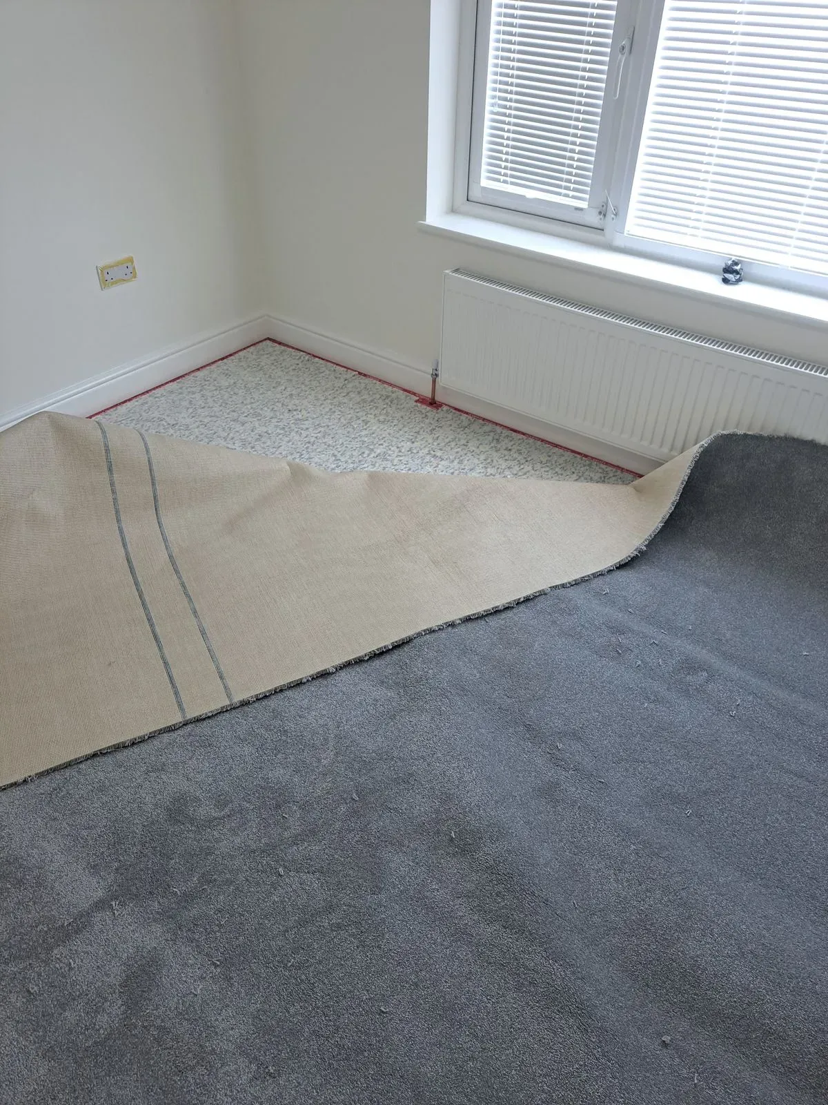 Local artisan fitting flooring in Fareham
