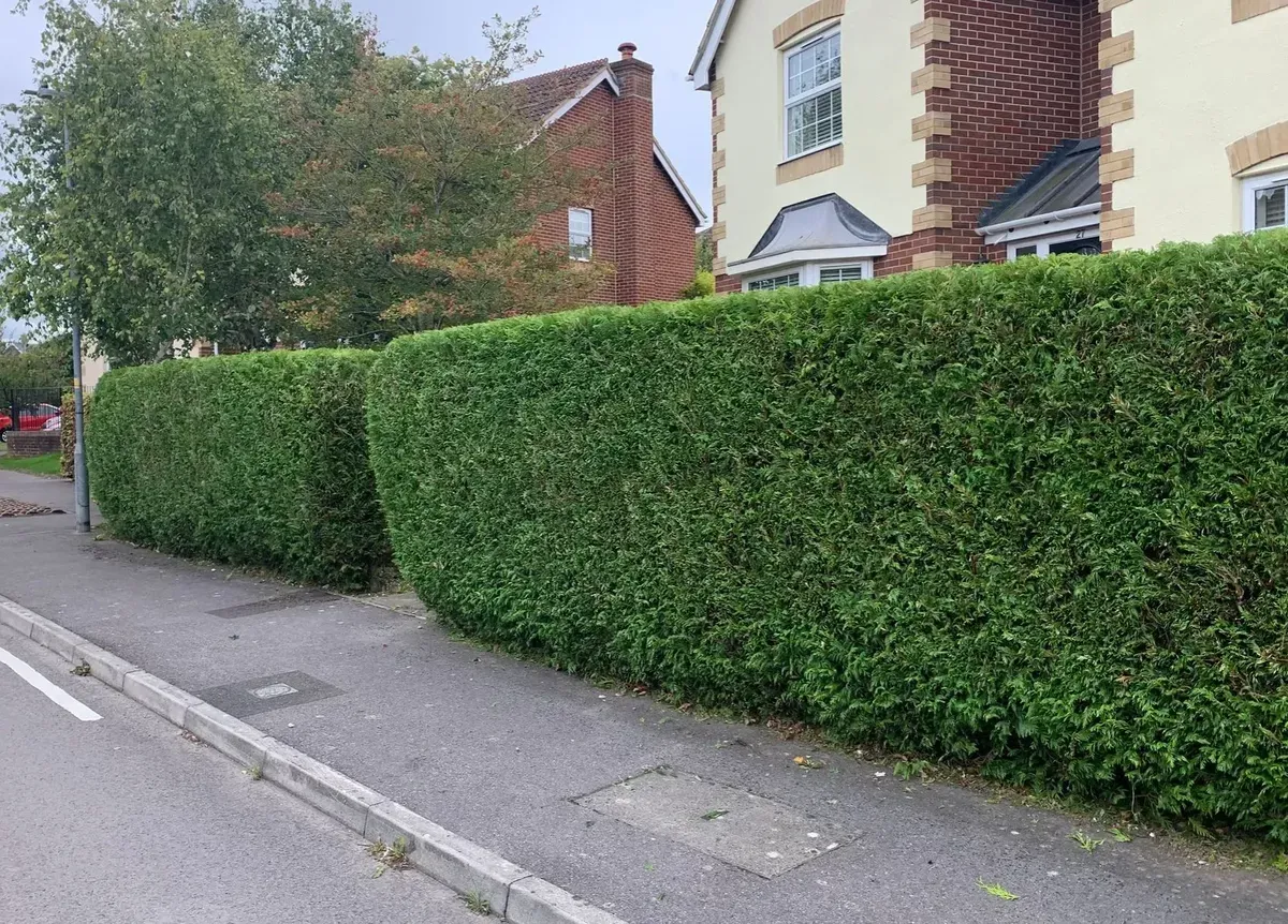 Driveways