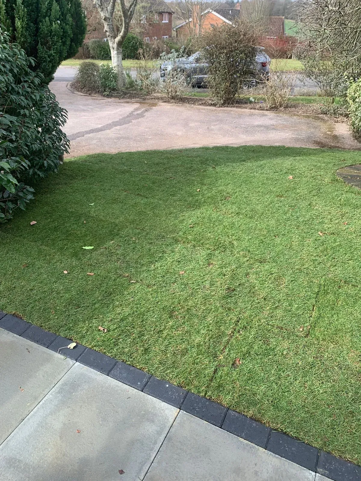 Lawn Installation
