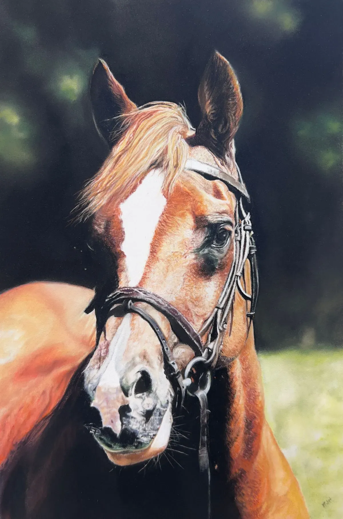 Custom Portraits