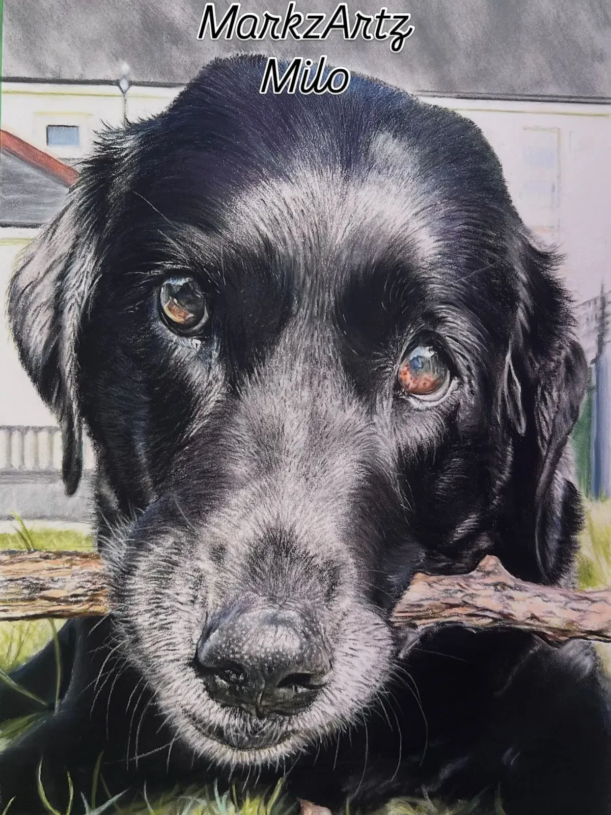 Commissioned Artwork
