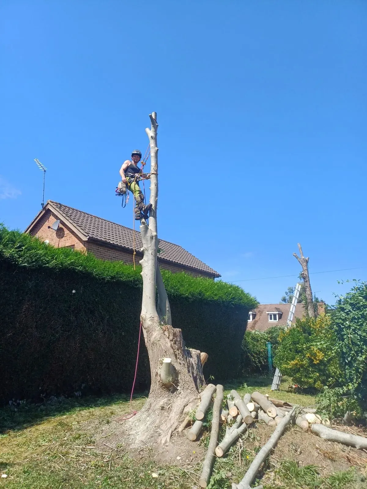 Emergency Tree Services