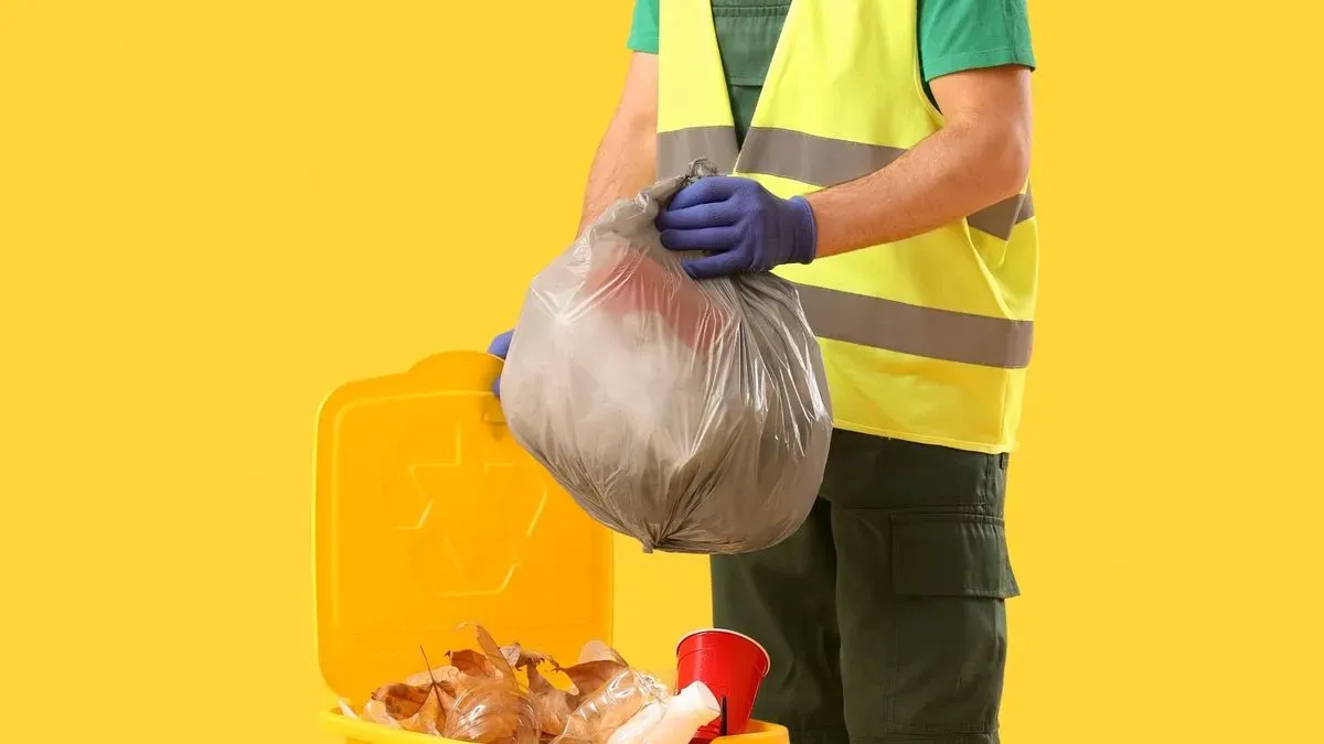 Descriptive text for the image